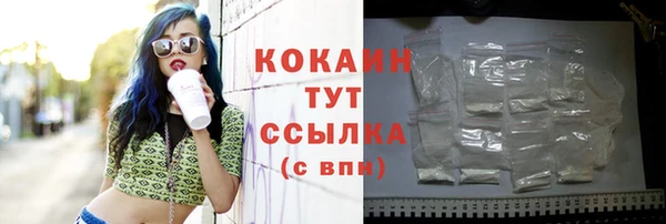 индика Аркадак