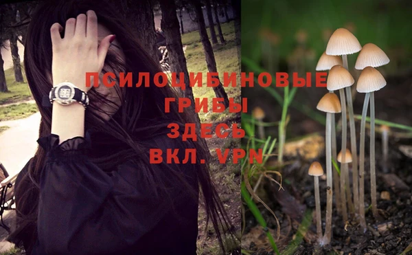 круглые Армянск