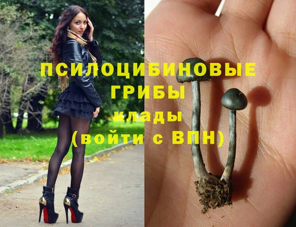 индика Аркадак