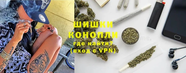 индика Аркадак