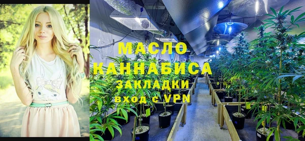 индика Аркадак