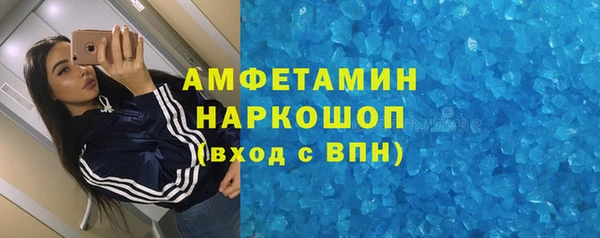 индика Аркадак