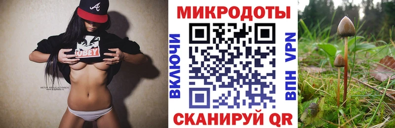 магазин  наркотиков  Нягань  Псилоцибиновые грибы мицелий 